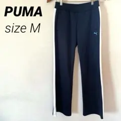 Item thumbnail for item 55a43fea-aa65-4c3e-b1aa-891cca5280e0