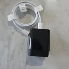 iPhone 12 PD 18W 充電器セット
