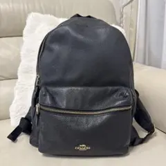 COACH リュックサック F29004 レザー ネイビー 大容量 通勤 通学