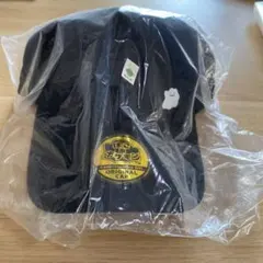 ぽこあポケモン　メタモン　オリジナルキャップ 帽子　エディオン　限定　予約特典