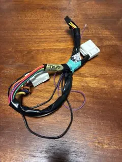 Item thumbnail for item e71b2820-557d-49e2-82ae-ddd38d8bc29d