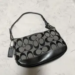 coach コーチ アクセサリポーチ　ワンショルダー　キャンバス　シグネチャー