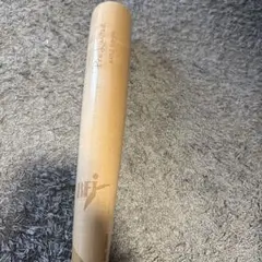 Item thumbnail for item 944fa3e0-67d2-4c19-8ce0-6404ff986323