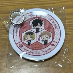 ハイキュー 音駒高校 くら寿司 お皿 マスキングテープ