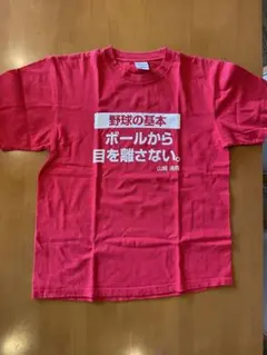 Item thumbnail for item 684e4843-d7f1-4d2f-8846-e02b9b51c18b