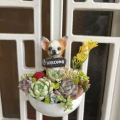 ♡そのまま飾れる♡ガーデンレードル♬ワンちゃんの可愛い多肉植物寄せ植え♡