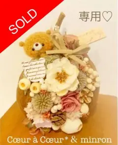 専用!!特別♡コラボ作品❁⃘*.゜ハンドメイド♡ブッタナッツひょこっとくま