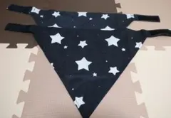 Item thumbnail for item ee048834-ed9e-493e-b3d6-81099bab8fdc