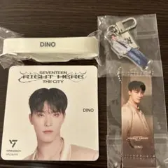 SEVENTEEN DINO キーホルダー セット