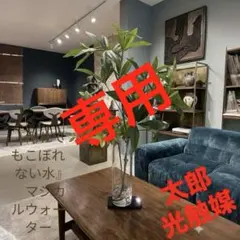 光触媒 観葉植物 ウォールグリーン フェイクグリーン マジカルウォール 
