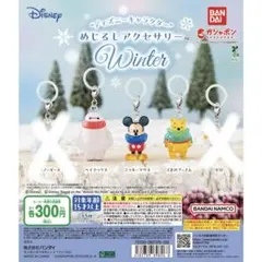 即発❣️ディズニーキャラクター　めじるしアクセサリー WINTER