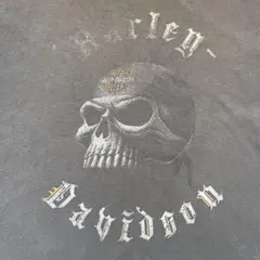 USA製 Harley-Davidson スカルT フェードグレー XL相当