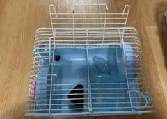 ハムスター ケージ 2個 セット 飼育用品 まとめ売りのサムネイル
