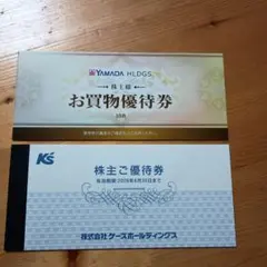 株主優待券 ヤマダ電機 ケーズデンキ 12,000円分