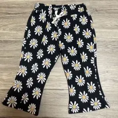 Favon花柄 フレアパンツ 95cm デイジー柄