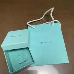 Tiffany & Co. 空箱 ショップ袋 巾着セット - メルカリ