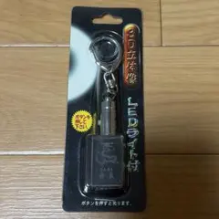 奈良 3D立体像 LEDライト付 キーホルダー