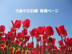 さあや3103様 ♡ 専用ページ
