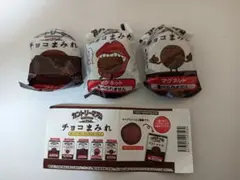 【新品未開封】チョコまみれ マグネット 3個セット 不二家 カントリーマァム