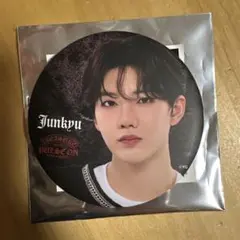 TREASURE ジュンギュ 缶バッジ 缶バッチ まとめ TREASURE ジュンギュ 缶バッジ 缶バッチ まとめ TREASURE PULSE ON 缶