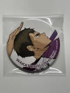 2026年最新】牛島若利缶バッチの人気アイテム - メルカリ