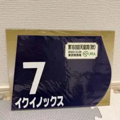 2026年最新】イクイノックス 有馬記念 ミニゼッケンの人気アイテム