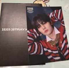 Stray Kids アイエン　ラントレ