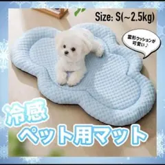 Item thumbnail for item bf17898d-cd75-4c41-adc0-7064d4ce8458