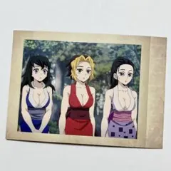 【美品】 鬼滅の刃 ぱしゃこれ 遊郭編 須磨 雛鶴 まきを 宇髄天元 チェキ風