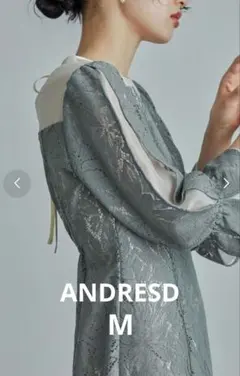 やまびこ様専用☆美品☆ANDRESD アンドレスド レースロングドレス Mグレー