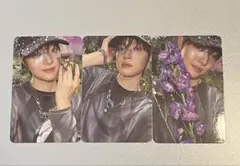 &TEAM Back to Life ROAR ver トレカ EJ ウィジュ