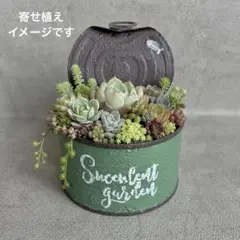 ＊リメイク鉢　リメ缶　英字 デザイン　グリーン×ブラウンのサムネイル