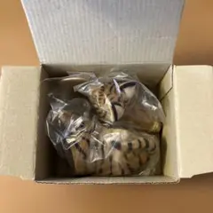 NODDING WILD TIGER 首振り トラ フィギュアのサムネイル