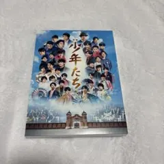 映画 少年たち DVD