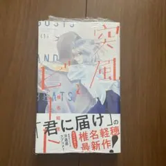 突風とビート 1