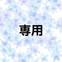 専用出品
