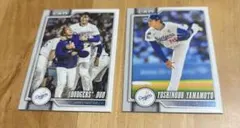 Item thumbnail for item 3a1a5b95-7a57-4da2-80c2-dac476f9edbb