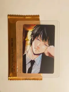 雲雀恭弥(10年後) 自撮り風トレーディングカード 送料無料 24時間以内発送 雲雀恭弥 10年後 特典自撮り風
