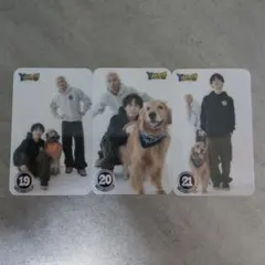 【C】Y＆U トレーディングカード 4枚セット