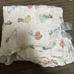 Disney baby aden + anais ブランケット　プリンセス