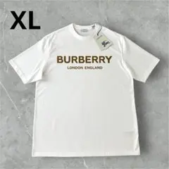 Item thumbnail for item 585f37b1-82bc-4f49-b69c-f9d30fc1b7c0