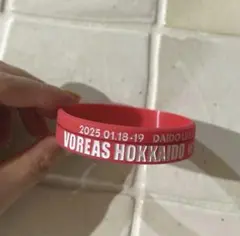 ヴォレアス北海道 バレーボール