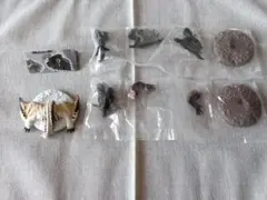 モンスターハンター 捕獲し隊　3点セット