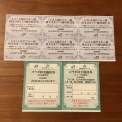 JR東日本　株主優待券　ガーラ湯沢スキー場　コラボ宿泊優待券