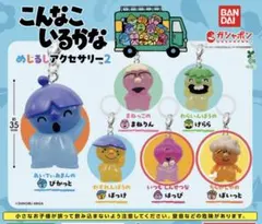 2026年最新】こんなこいるかな ぬいぐるみの人気アイテム - メルカリ