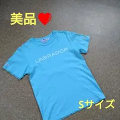 【値下げしました❤️】ラブラドールレトリバー　Tシャツ　ニューイングランド　Sのサムネイル