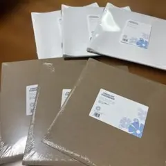 Item thumbnail for item 4472b3ae-8fc0-44aa-9766-1db7f7135bdf