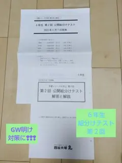 四谷大塚　６年生　第２回　公開組分けテスト　２０２３年５月７日実施分