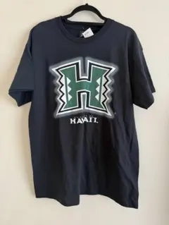 Item thumbnail for item 1cdd2287-9b22-4419-ab28-54b91cef242a