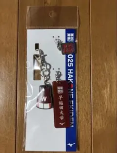 【新品】2025箱根駅伝HAKONE EKIDENキーホルダー全19校セット 新品】2025箱根駅伝HAKONE EKIDENキーホルダー全19校セット 【公式通販】